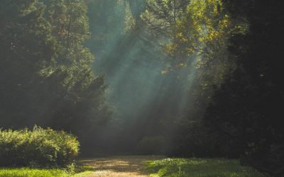 Kuuliaisuus – aloita siitä, missä olet