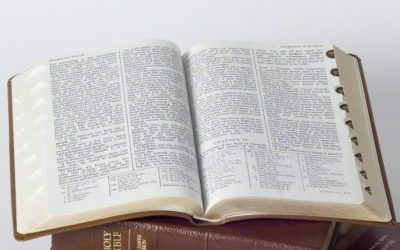 Kallisarvoinen helmi