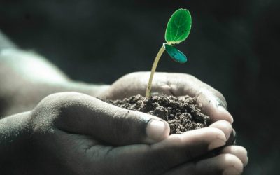 10 tapaa, miten mormonit voivat saada aikaan sydämen muutoksen ja muuttaa maailmaa