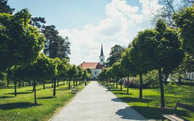 Restorationistiset liikkeet Yhdysvaltojen historiassa