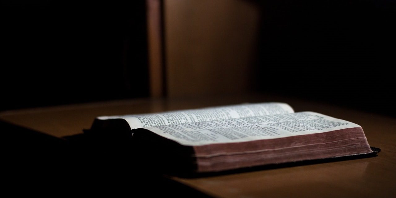 Katolinen professori sanoo: ”Mormonin kirja on ihmeellinen kirjoitus”