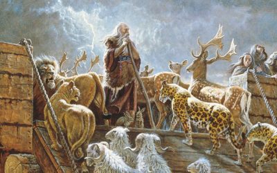 5 kysymystä Nooasta ja tulvasta – ja vastaukset niihin