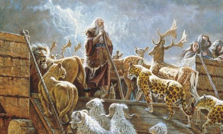 5 kysymystä Nooasta ja tulvasta – ja vastaukset niihin