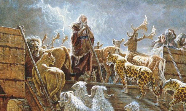 5 kysymystä Nooasta ja tulvasta – ja vastaukset niihin