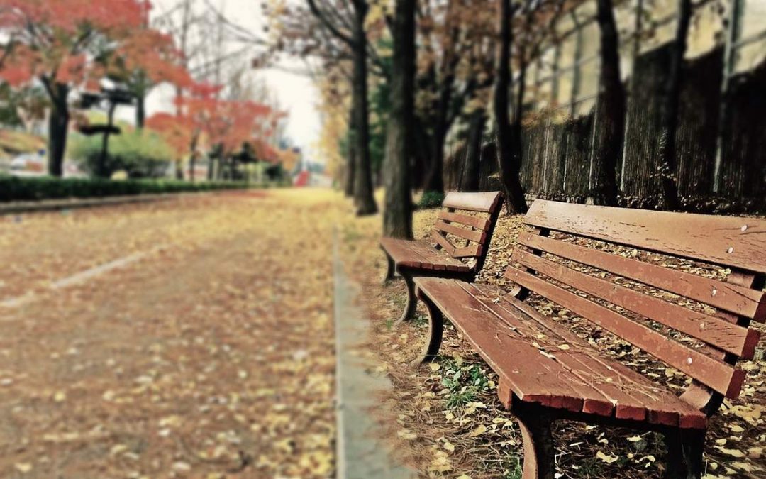 Miten voin saada todistukseni takaisin?