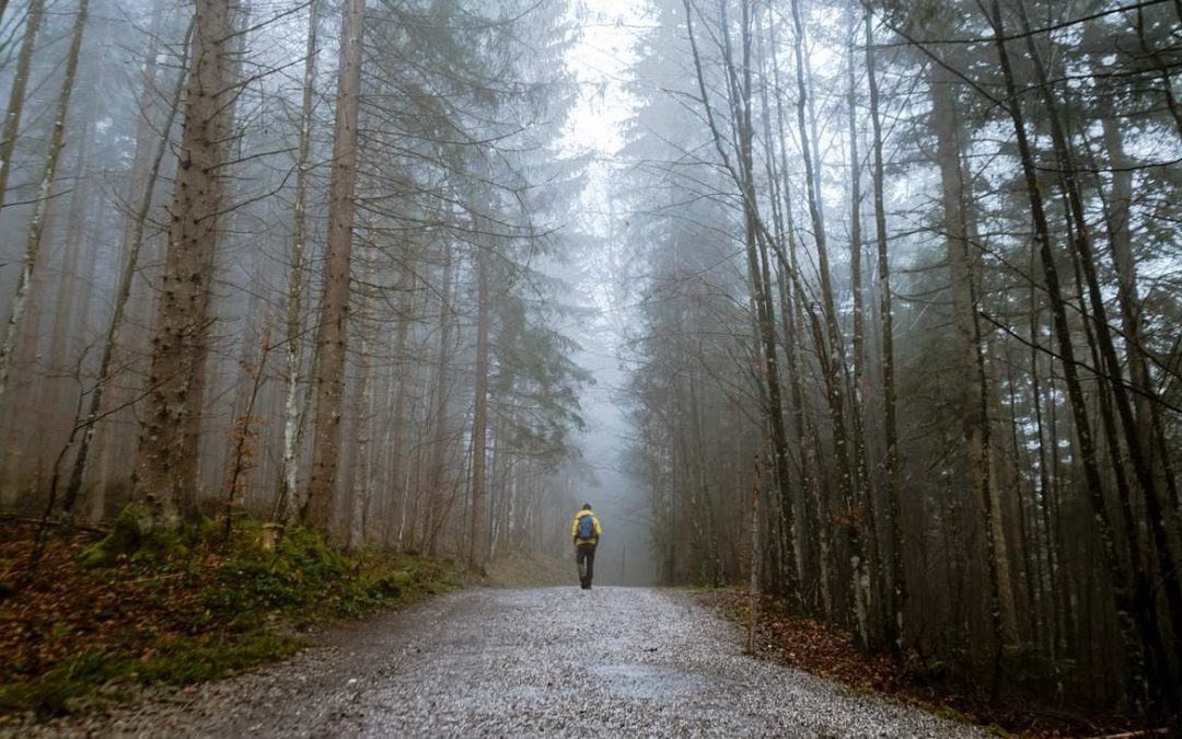 3 väärää oppia, joihin uskomme ehkä enemmän kuin luulemme