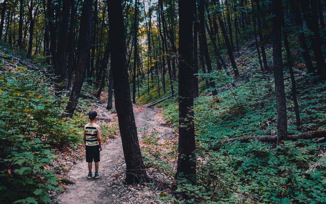 Mitä lapset voivat opettaa meille pelkojen kohtaamisesta